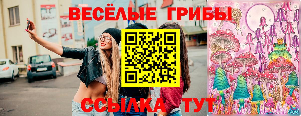 Псилоцибиновые грибы мицелий  Вход с VPN  наркотики  Обнинск 